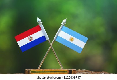 Argentina And Paraguay Small Flag With Blur Green Background