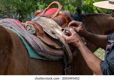 Argentine Gaucho Fixing Horse Saddle