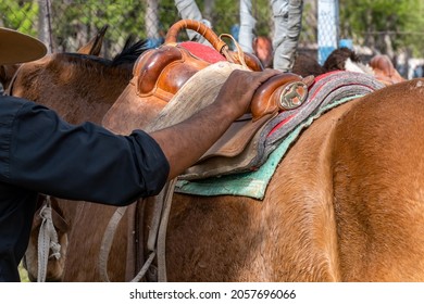 Argentine Gaucho Fixing Horse Saddle