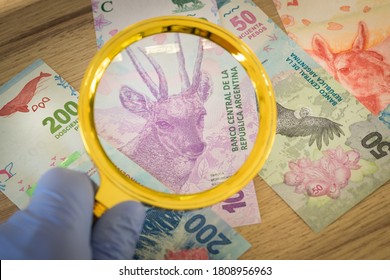 argentinische Währung, Papierbanknoten, neue Designs mit Tieren, Hand in einen Gummihandschuh, der eine Lupe hält, Konzept, Die Wirtschaftskrise des Landes