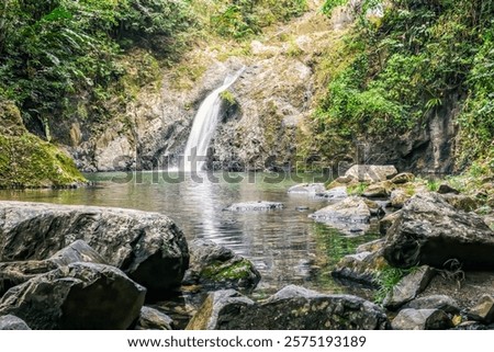 Argyle cascading waterfall surrounded by mossy rocks, tropical plants, and a serene natural pool in a lush rainforest. Tobago island, Caribbean sea.
