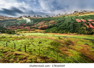 Argyll Forest Park In Winter, Scotland