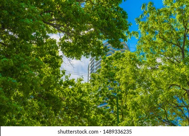 Arhictecture Framed By Trees Captured On The Katy Trail In Dallas, TX.