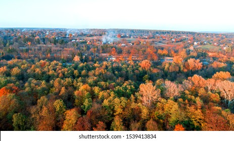 Arial drone photography of autumn treetops. Top down view. - Shutterstock ID 1539413834