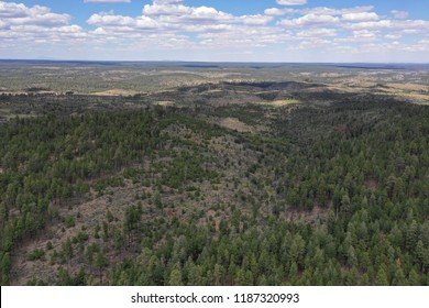 Arial Photo Above The Apache Sitgreaves Forest