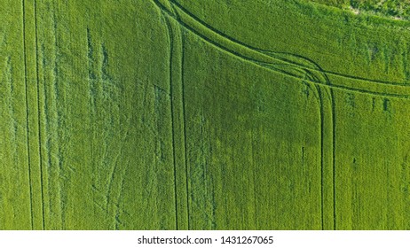 Arial Photo Of Green Field In Sweden