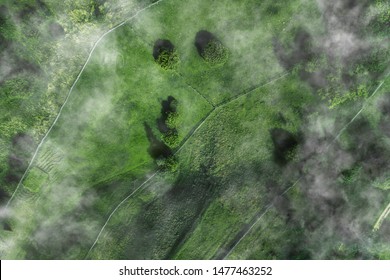 Arial Rural Veiw Of Rural Road, Green Field And Trees. Drone Shot