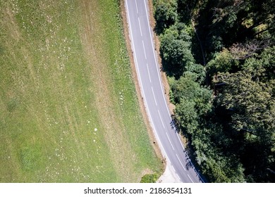 Arial Shot Of An Empty Road Next To A Meadow And A Forest. Idyllic Landscape With Copy Space