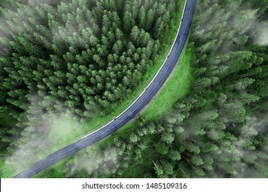 Arial Veiw Of Empty Road In Green Forest. Drone Shot