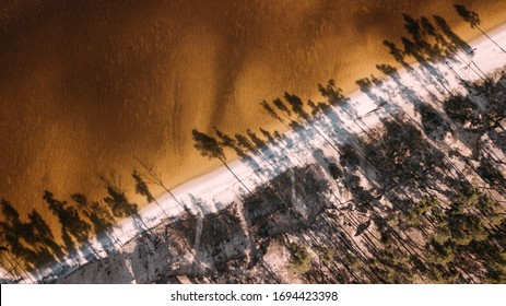 Arial Veiw Of Sandy Beach, Trees And Sea (ocean, Lake, River). Drone Shot