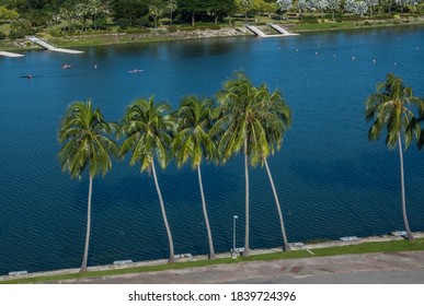Arial View Of Beautiful Sea Shore With Palm Trees