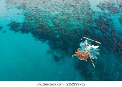 Arial View Of Entangled Turtle In A Ghost Net On Ocean