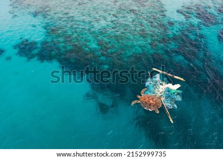 Arial view of entangled turtle in a ghost net on ocean