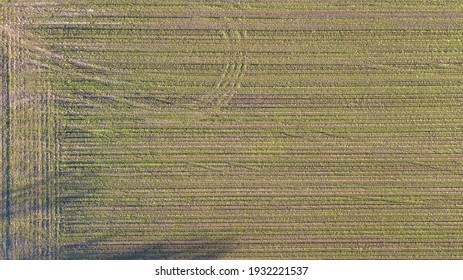 Arial View Geometric Shapes In The Soil Of Farm Fields, Shot From Above With Drone. High Quality Photo