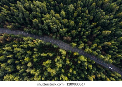 Arial View Of A Highway Through A Forest At Sunset