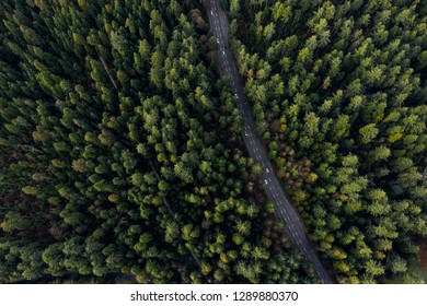 Arial View Of A Highway Through A Forest At Sunset