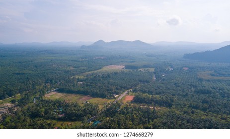 Arial View Oil Palm Plantation Chumphon Stock Photo 1274668279 ...