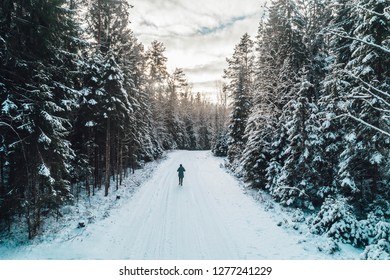 Arial View On Man Walking On Snowy Forest Road, Winter Time In Nature, Hiking In Winter Time 