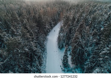 Arial View On Man Walking On Snowy Forest Road, Winter Time In Nature, Hiking In Winter Time 