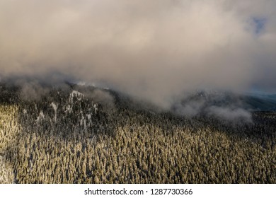 Arial View Of Snow Covered Trees In A Forest Backlit At Sunset During Winter With Fog 