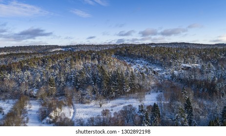 Arial Winter Landscape With Snow, Fields And Forest.