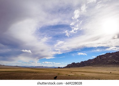 arid