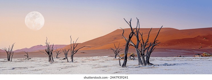 Arid african desert with dry dead trees, red sand dunes and moon - serenity morning landscape of Namibia. Deadvlei salt pan and group of dried acacia tree trunks, panoramic landscape of wilderness. - Powered by Shutterstock