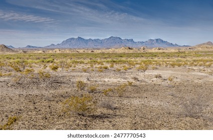 The arid desert landscape of the Big Bend National Park with the Chisos Mountains in the background - Powered by Shutterstock