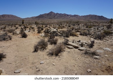 Arid Desert Landscape Of Western Mojave Desert In California, USA With The Dry Land Of Sand And Rocks, The Dried Out Bushes And Desert Vegetation In The Foreground And The Blue Summer Sky In The Back.