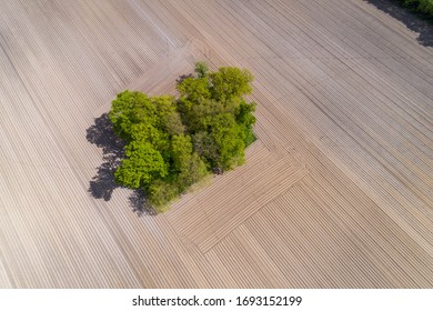 Arid Farmland During A Dry Spell In Northern Germany