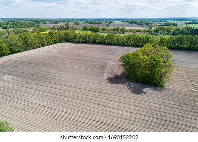 Arid Farmland During A Dry Spell In Northern Germany