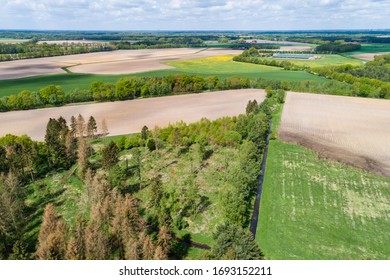 Arid Farmland During A Dry Spell In Northern Germany