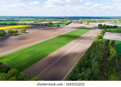 Arid Farmland During A Dry Spell In Northern Germany