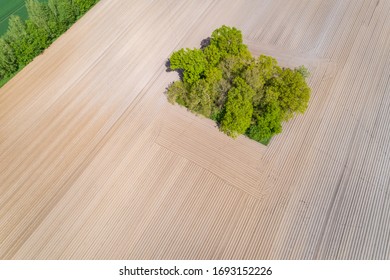 Arid Farmland During A Dry Spell In Northern Germany