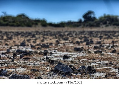 Arid Landscape