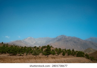 Arid Mountain Landscape With Sparse Pine Trees
