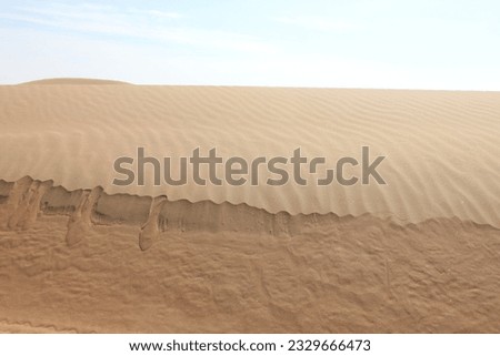 Arid sand dunes terrain in Liwa desert in the United Arab Emirates. Middle East harsh and rugged desert landscape concept.