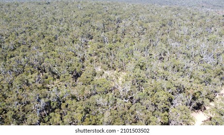 Ariel Footage Above Blackwood River WA