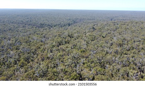 Ariel Footage Above Blackwood River WA