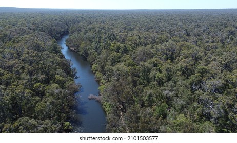 Ariel Footage Above Blackwood River WA