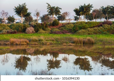 Ariel Sharon Park Background