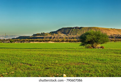 Ariel Sharon Park Background