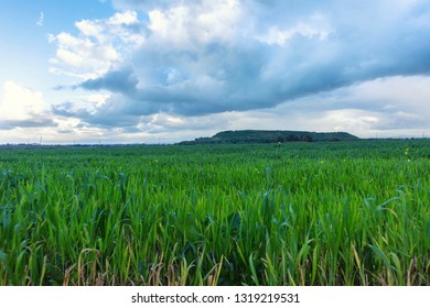 Ariel Sharon Park Fields