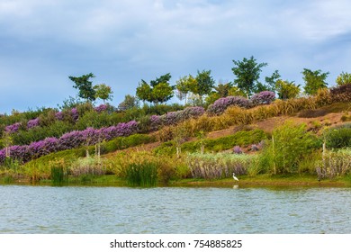 Ariel Sharon Park Nature Background