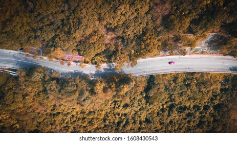 Ariel Shot Of A Car On Road