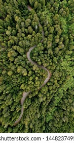 An Ariel Shot Of A Curvy Narrow Road In The Middle Of The Forest Surrounded By Trees