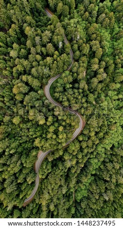 Similar – Image, Stock Photo Narrow road through green mountainsides