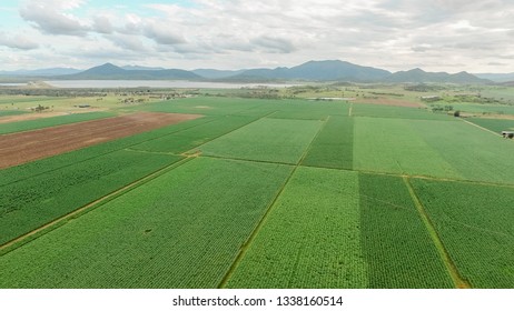 Ariel View Of Agricultural Crop Rows Of Farm Land With Mountains And Dam In Back Ground, Australia.