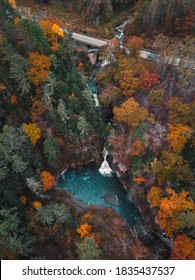 Ariel View Of Fall Trees With Blue Pool In The Center