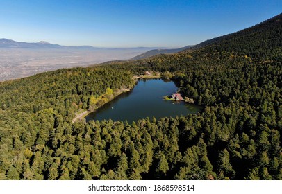 Ariel View Of Natural Park 